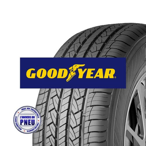 Pneu EFFICIENTGRIP CARGO 2