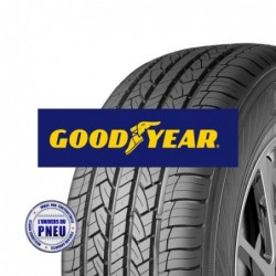 Pneu EFFICIENTGRIP CARGO 2